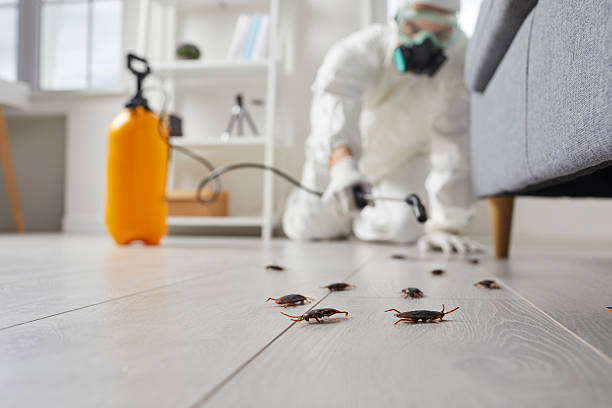 Commercial Kitchen Cockroach Control in Fulshear